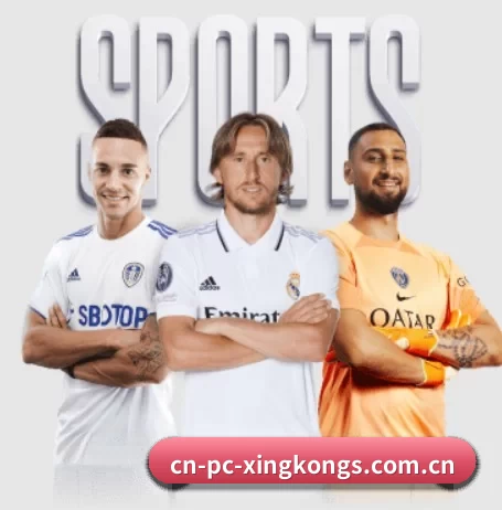 每个板块围绕一个运动项目展开 | xingkong