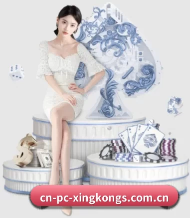 业务扩张 - 业务规模迅速扩张,合作伙伴遍布全球,用户数量突破500万大关。（xingkong）